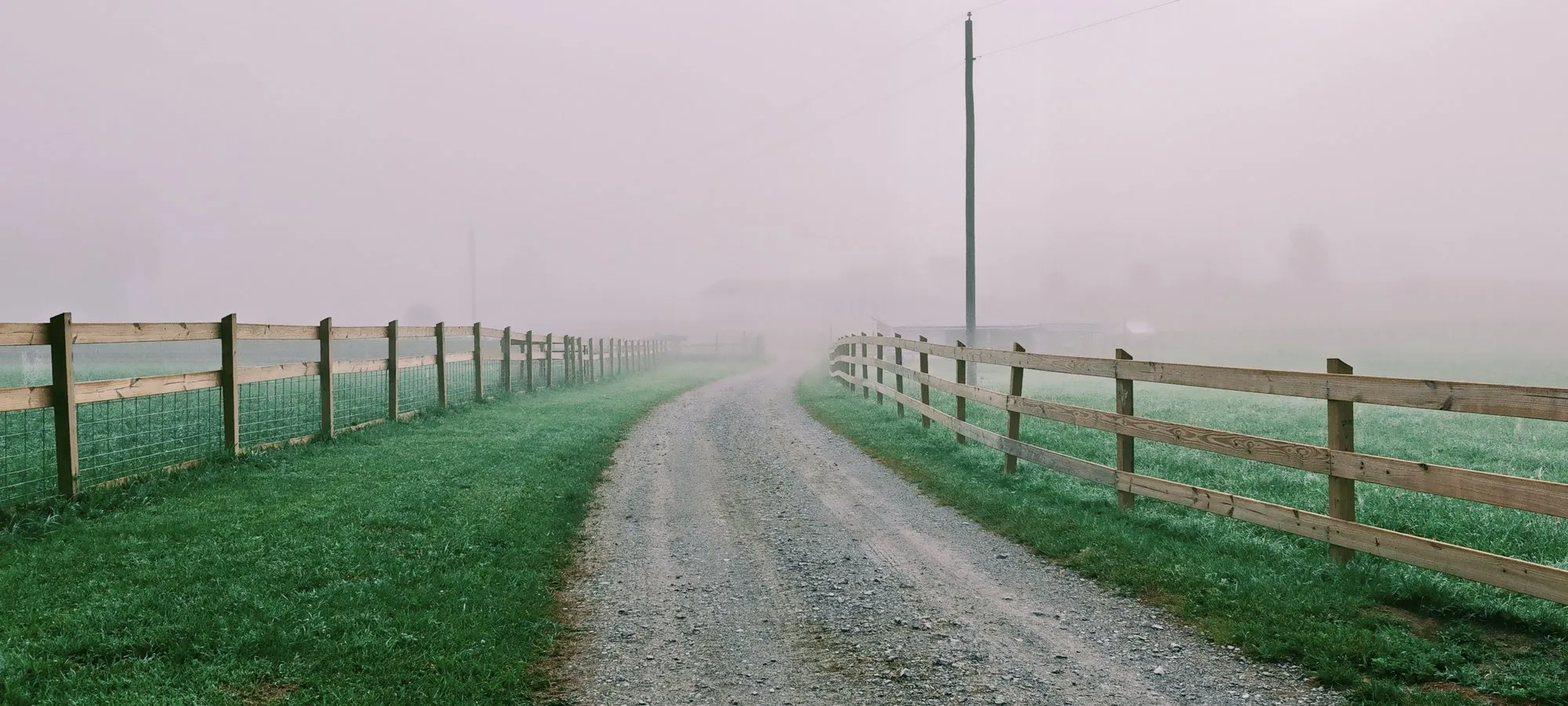 The lane leading away from Tapestry Acres on a misty morning